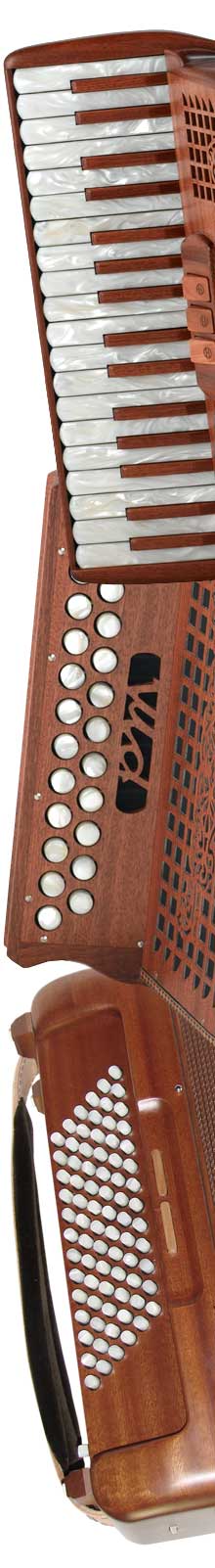 piano accordion, button accordion
